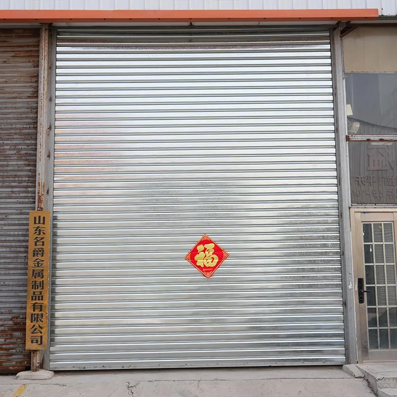 Wind Resistant Roller Shutter Door